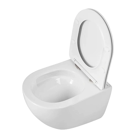 Унитаз подвесной BelBagno AMANDA-TOR BB051CH-TOR-FC/SC безободковый c сиденьем Унитаз подвесной BelBagno AMANDA-TOR BB051CH-TOR-FC/SC безободковый c сиденьем