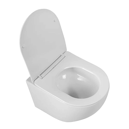Унитаз подвесной SFERA-TOR BB046CH-TOR/SC безободковый c сиденьем Унитаз подвесной SFERA-TOR BB046CH-TOR/SC безободковый c сиденьем