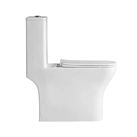 Унитаз напольный BelBagno NEON BB8617CPR-MN/SC с сиденьем Унитаз напольный BelBagno NEON BB8617CPR-MN/SC с сиденьем