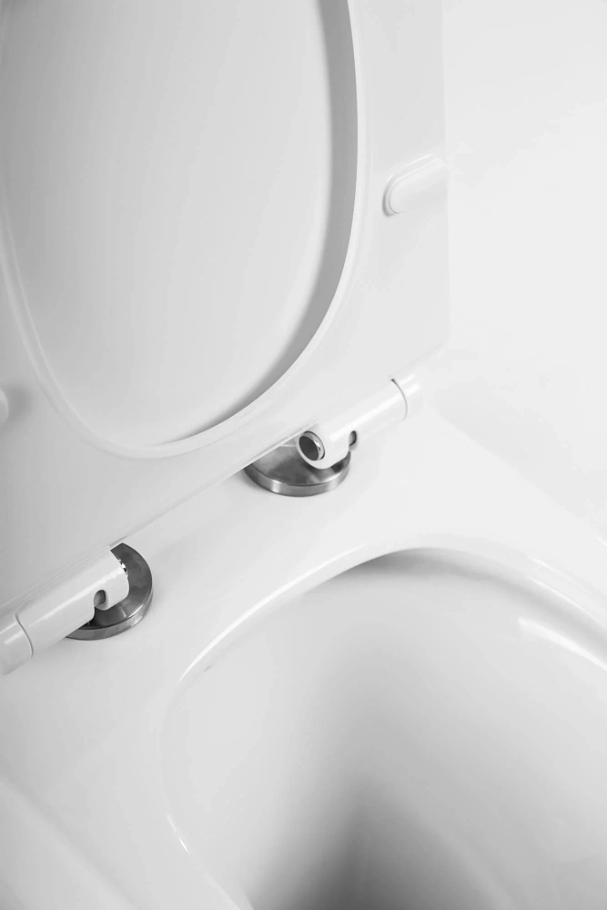 Унитаз напольный BelBagno NORMA BB339CPR/BB2111SC безободковый с сиденьем — Изображение 3