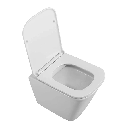 Унитаз подвесной BelBagno DUE BB3103CHR/SC безободковый c сиденьем Унитаз подвесной BelBagno DUE BB3103CHR/SC безободковый c сиденьем