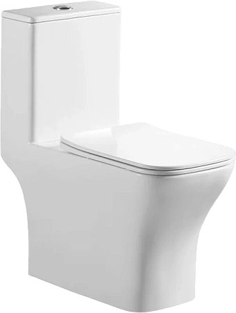 Унитаз напольный BelBagno NEON BB8617CPR-MN/SC с сиденьем