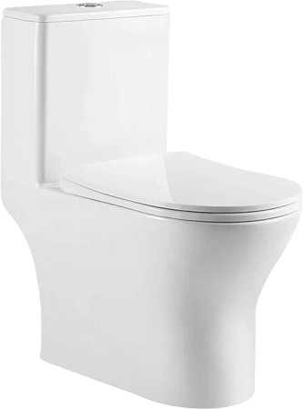 Унитаз напольный BelBagno LOUNGE BB8618CPR-MN/SC с сиденьем