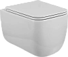 Унитаз подвесной BelBagno LUCE BB076CH-TOR/SC безободковый c сиденьем Унитаз подвесной BelBagno LUCE BB076CH-TOR/SC безободковый c сиденьем