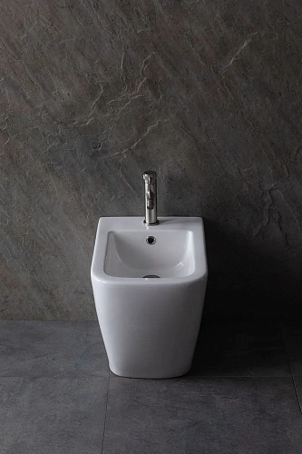 Биде напольное Allen Brau Infinity 4.21005.20 Биде напольное Allen Brau Infinity 4.21005.20