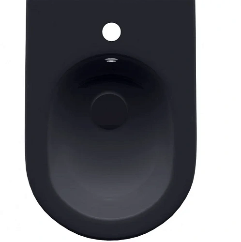 Биде напольное Allen Brau Reality 4.32005.AN антрацит Биде напольное Allen Brau Reality 4.32005.AN антрацит