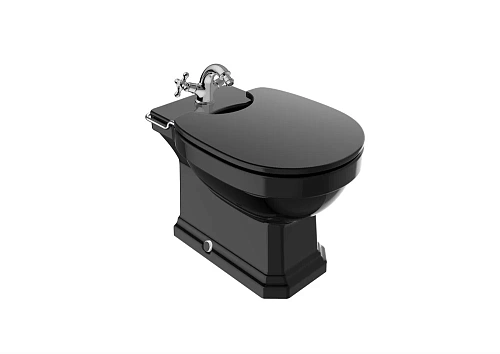 Биде напольное Roca Carmen 1 отверстие для смесителя черный 3570A4560 Биде напольное Roca Carmen 1 отверстие для смесителя черный 3570A4560