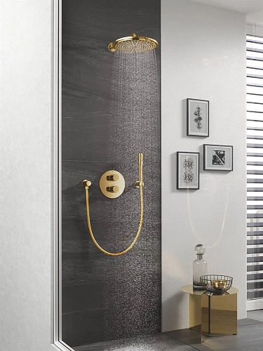 Верхний душ GROHE Rainshower с кронштейном, холодный рассвет глянец (26066GL0) Верхний душ GROHE Rainshower с кронштейном, холодный рассвет глянец (26066GL0)