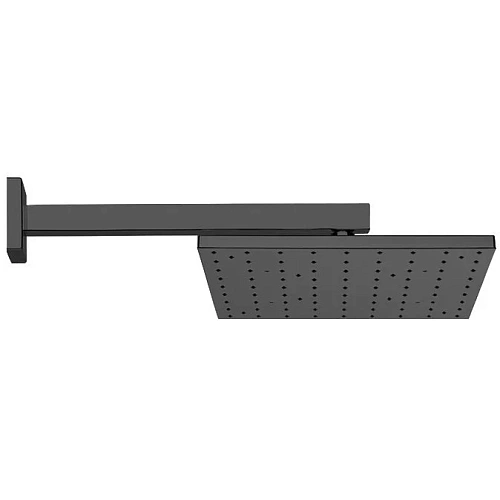 Верхний душ Webert Comfort AC0392560METAL, черный Верхний душ Webert Comfort AC0392560METAL, черный