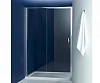 Душевая дверь Jacob Delafon Torsion 100х195 см, левая E88P100L-GA