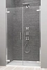 Душевая дверь Radaway Arta 386182-03-01R 50 см R