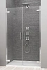 Душевая дверь Radaway Arta 386183-03-01R 55 см R