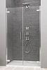 Душевая дверь Radaway Arta 386184-03-01R 60 см R