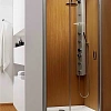 Душевая дверь Radaway Premium Plus DWJ 33313-01-01N 120 см прозрачное стекло Душевая дверь Radaway Premium Plus DWJ 33313-01-01N 120 см прозрачное стекло