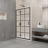 Душевая дверь RGW Passage PA-07B L 1200 мм Easy Clean черный 41080712-84L