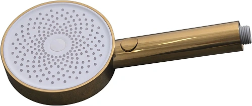 Душевая лейка Allen Brau Priority 5.31B20-GB золото Душевая лейка Allen Brau Priority 5.31B20-GB золото