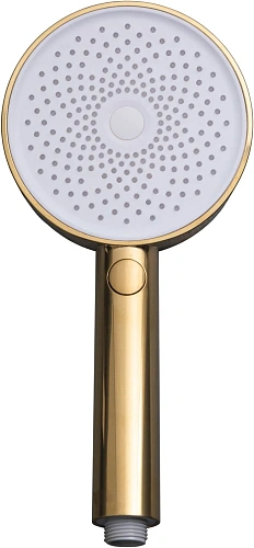 Душевая лейка Allen Brau Priority 5.31B20-GB золото Душевая лейка Allen Brau Priority 5.31B20-GB золото