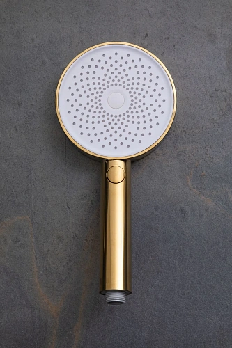 Душевая лейка Allen Brau Priority 5.31B20-GB золото Душевая лейка Allen Brau Priority 5.31B20-GB золото