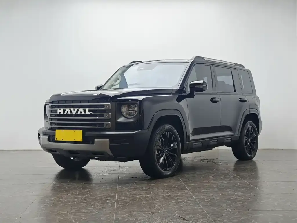 Haval Menglong New Energy — фото 1