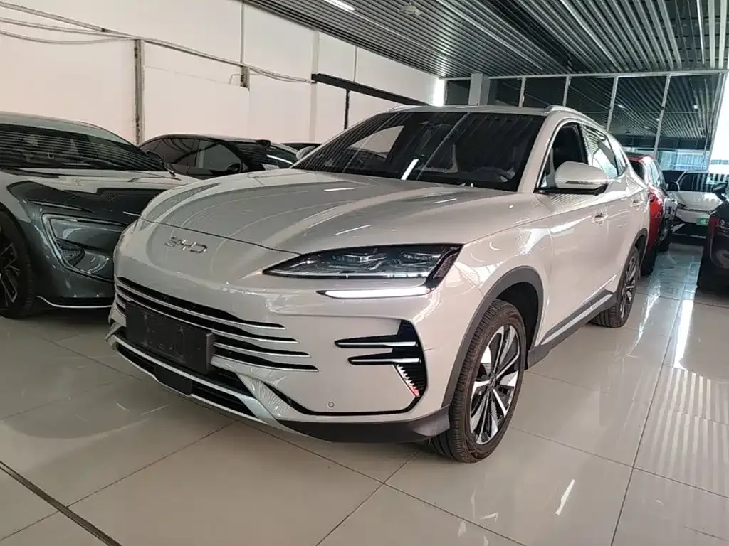 BYD PLUS New Energy — фото 1