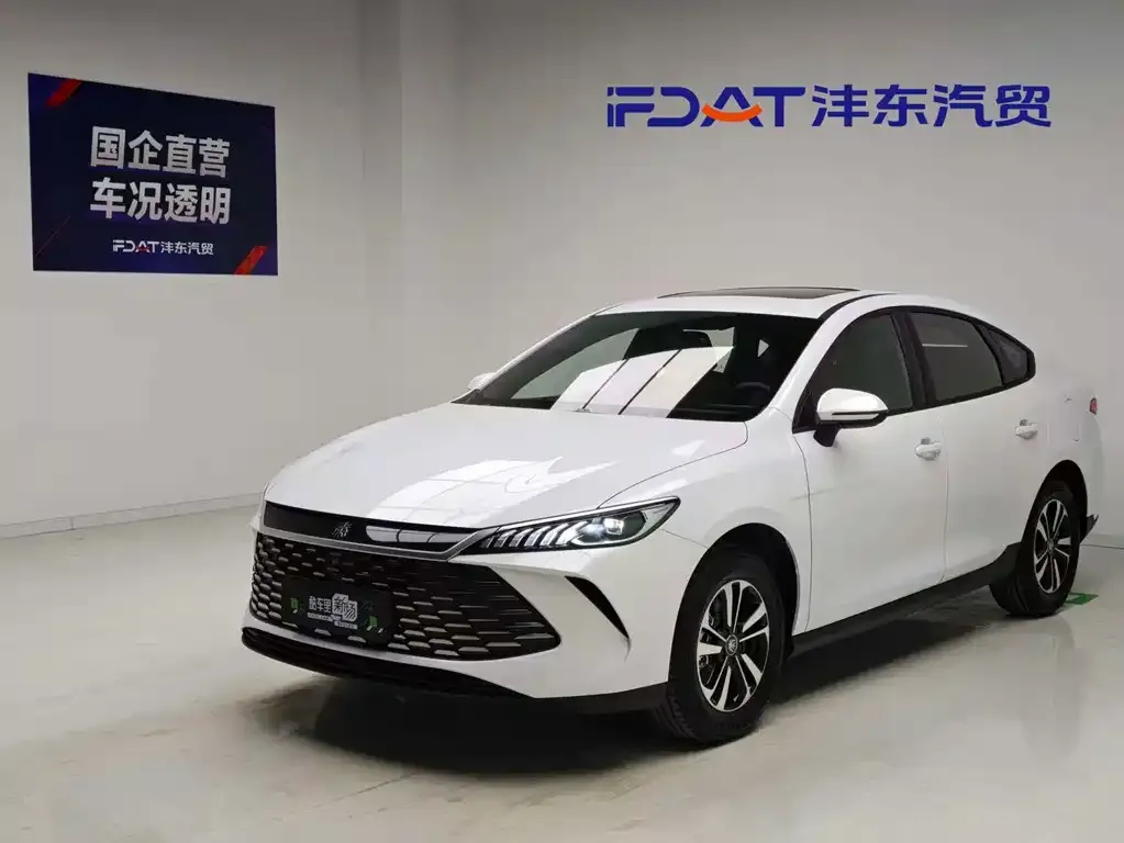BYD Qin PLUS — фото 1