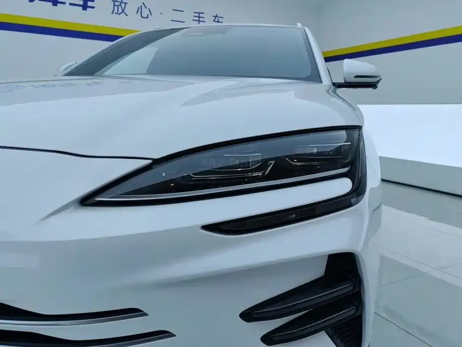 BYD PLUS New Energy — фото 2