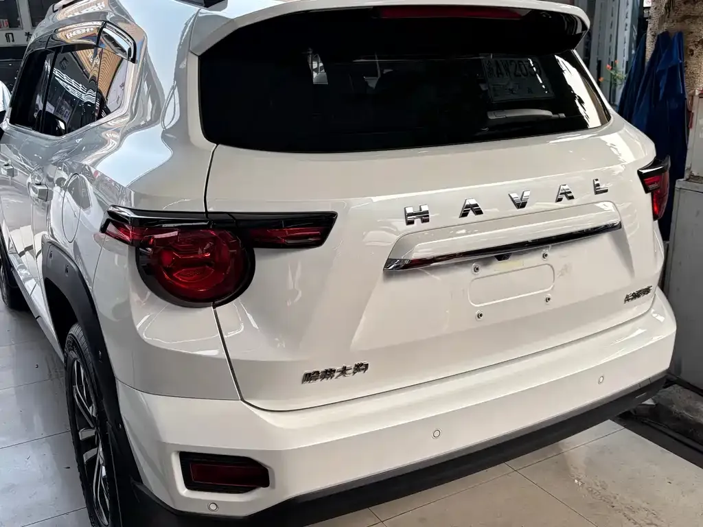 Haval Big Dog PLUS — фото 8