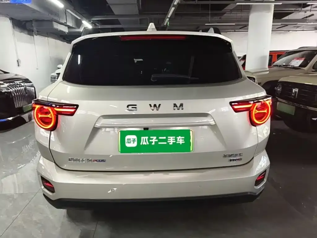 Haval Big Dog PLUS New Energy — фото 5