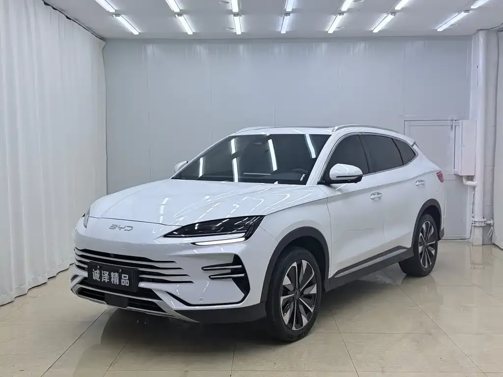 BYD PLUS New Energy — фото 1