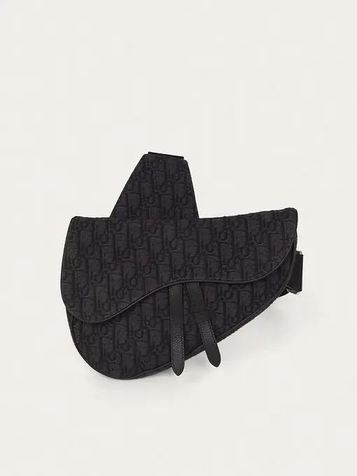 Christian Dior Saddle - Master