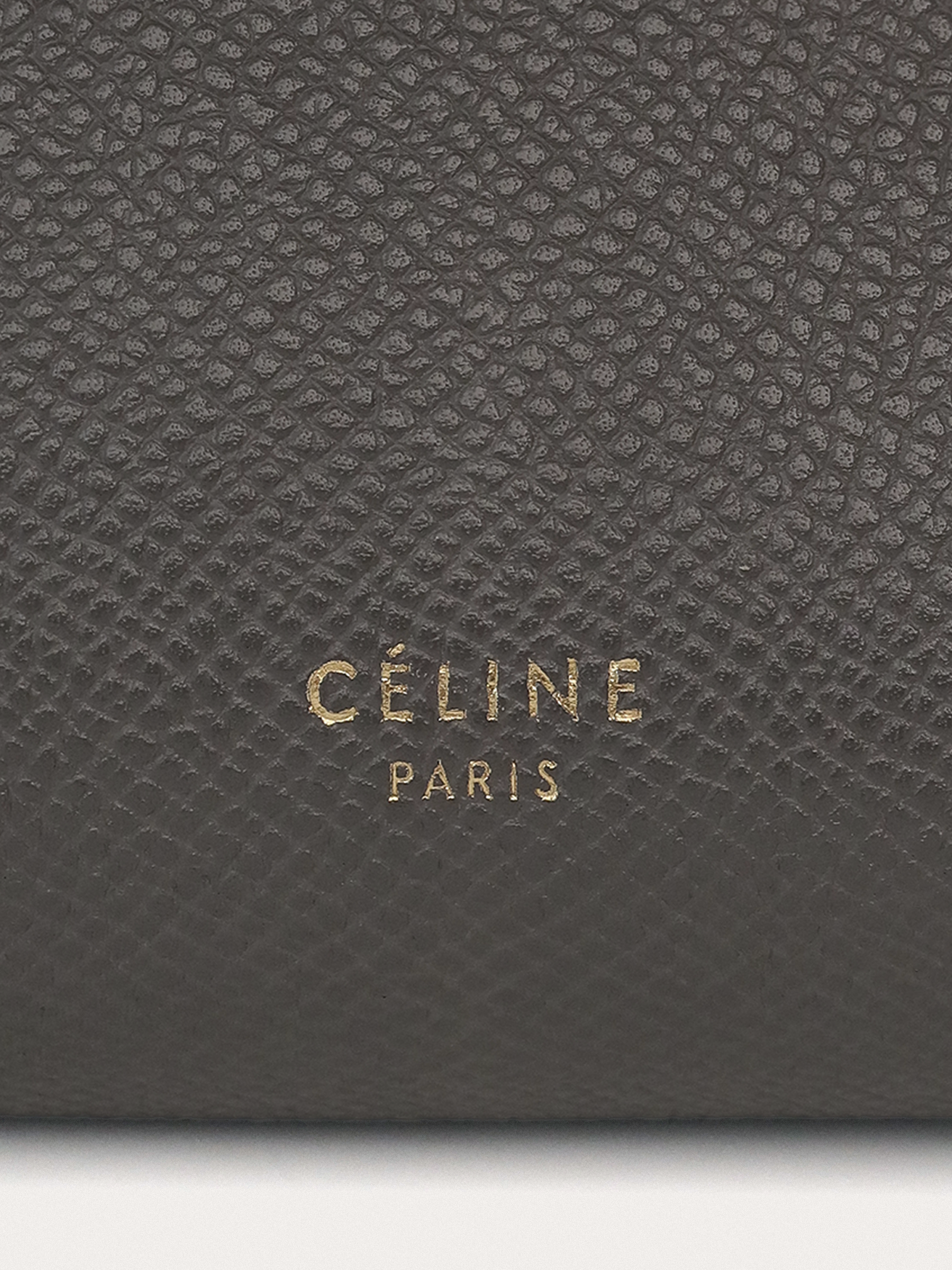 Celine Belt Nano - Master