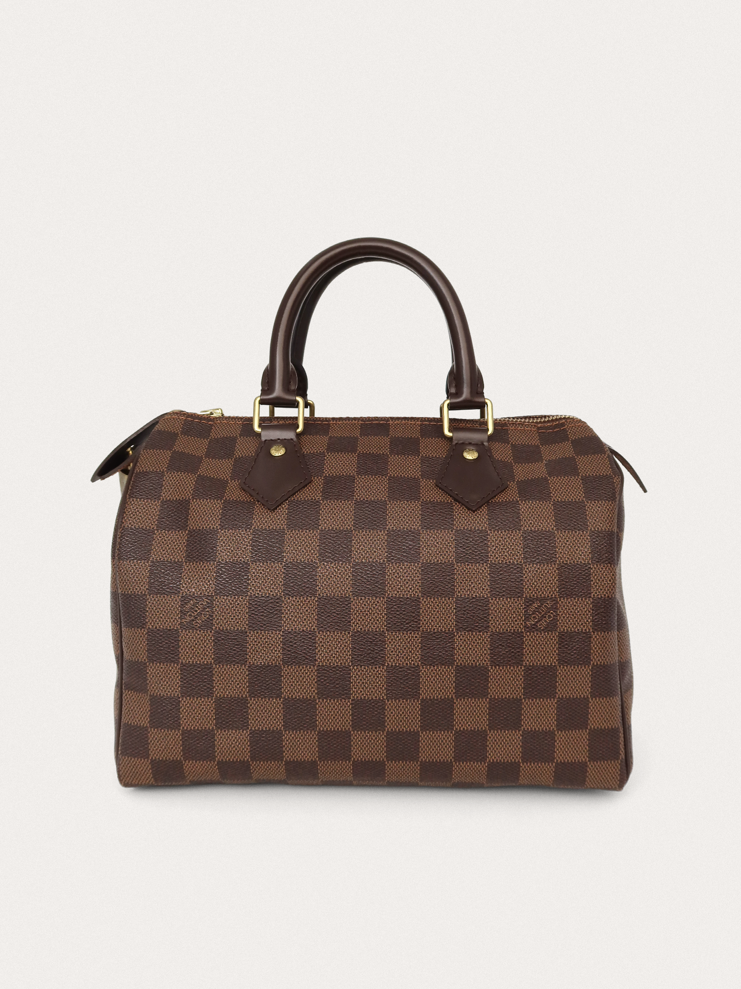 Louis Vuitton Speedy 25 - Master