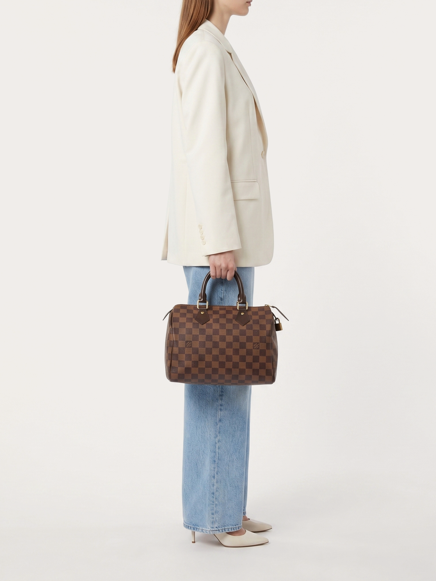 Louis Vuitton Speedy 25 - Master