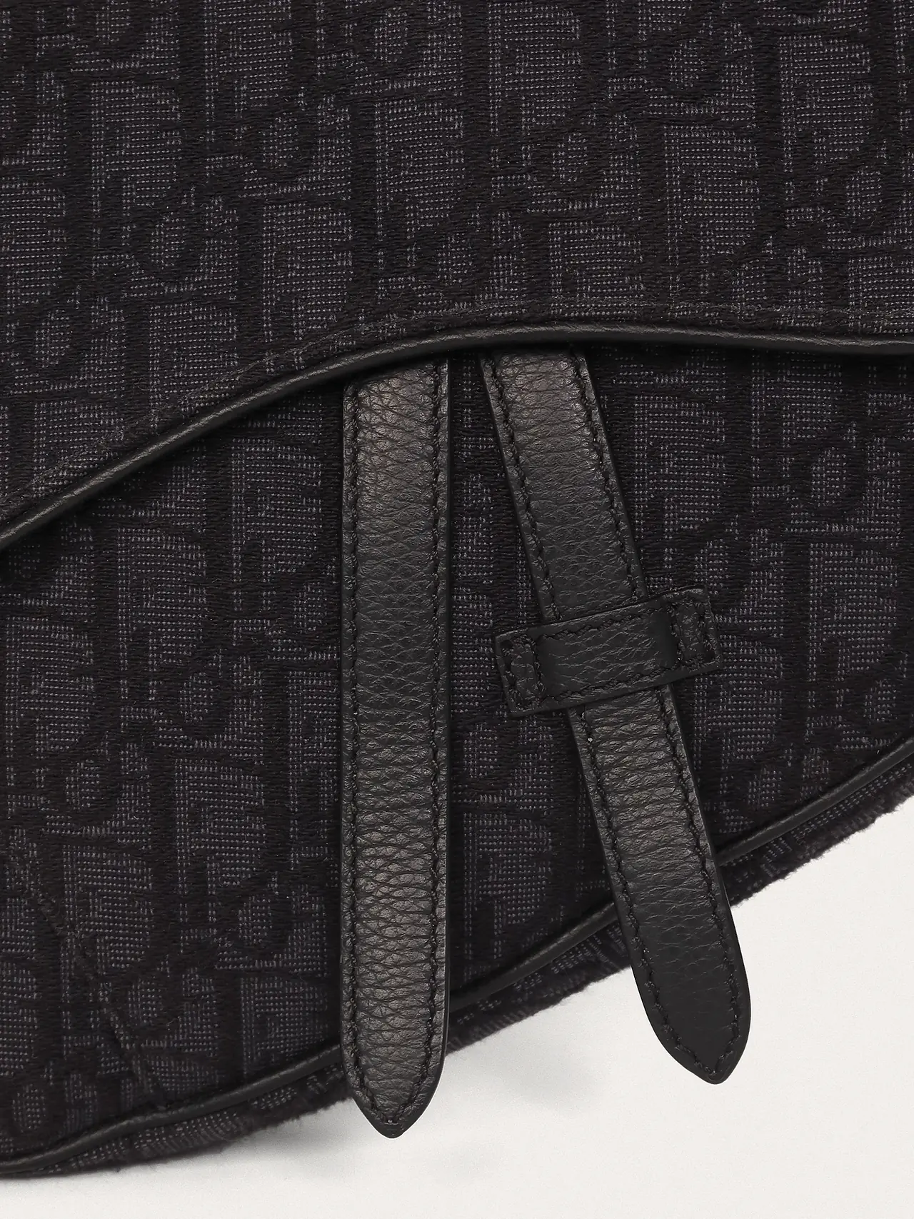 Christian Dior Saddle - Master