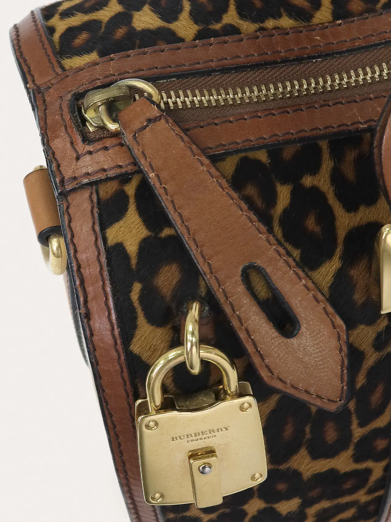 Alchester Leopard - Master