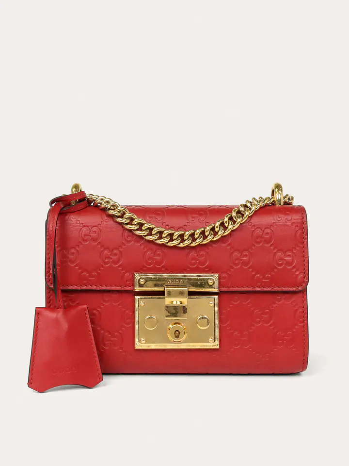 Padlock Mini primary image