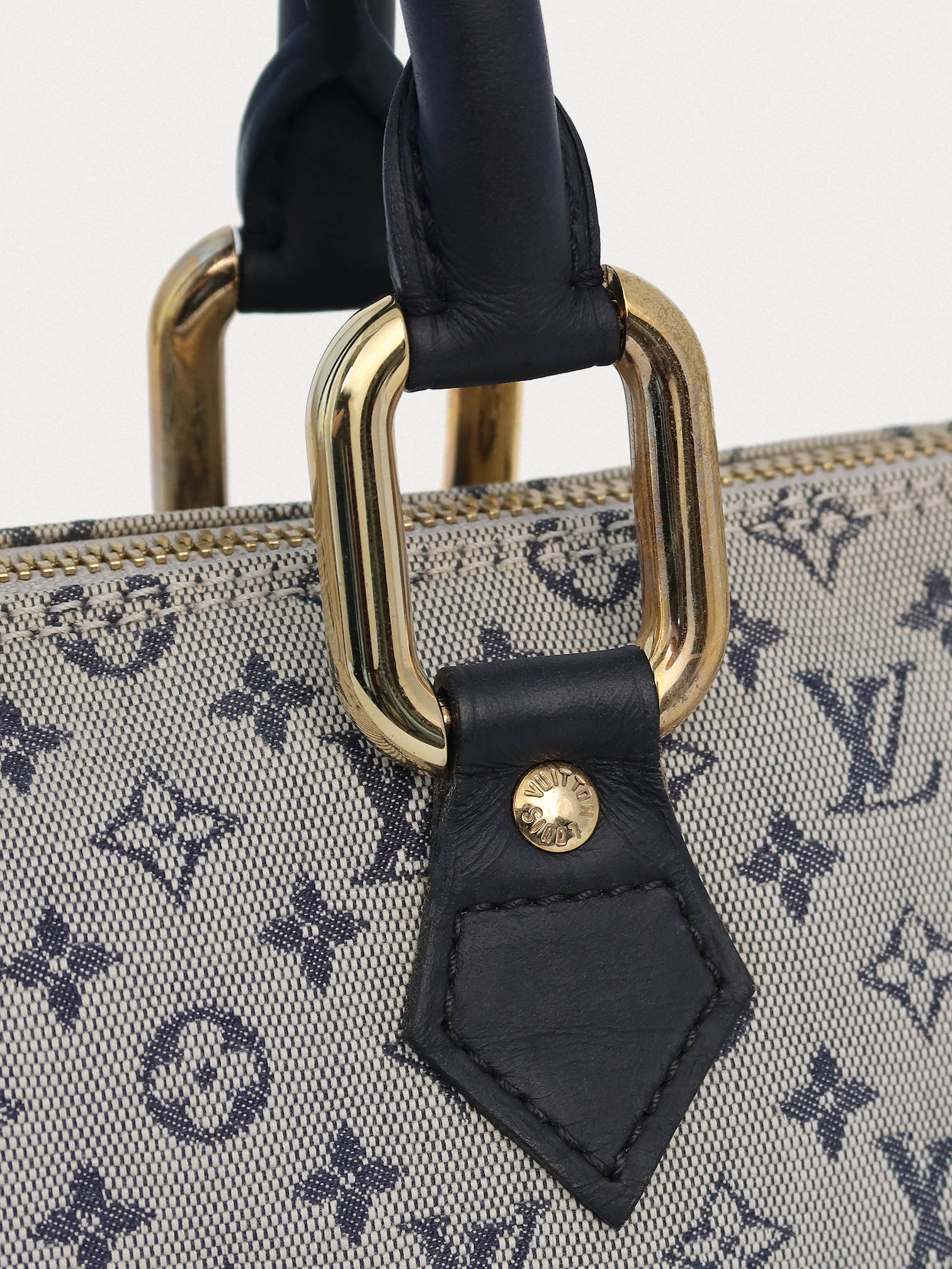 Louis Vuitton Lin Alma Long - Master