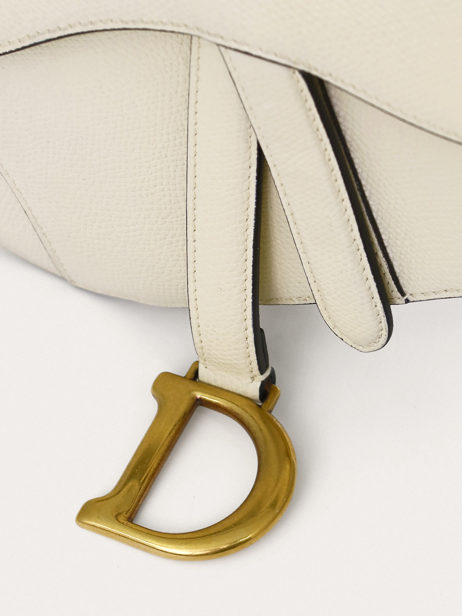 Christian Dior Saddle - Master