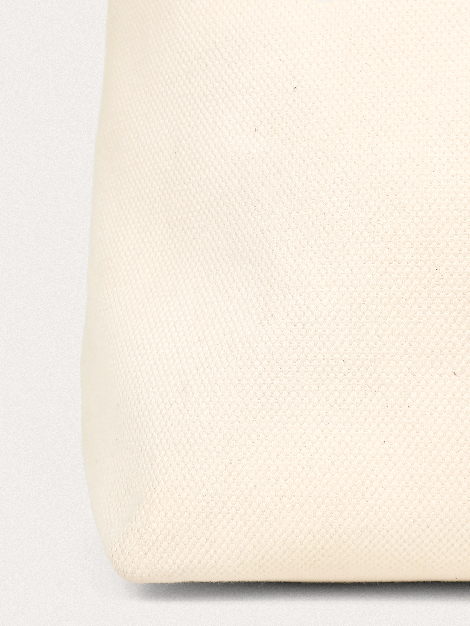Celine Cabas Canvas - Master