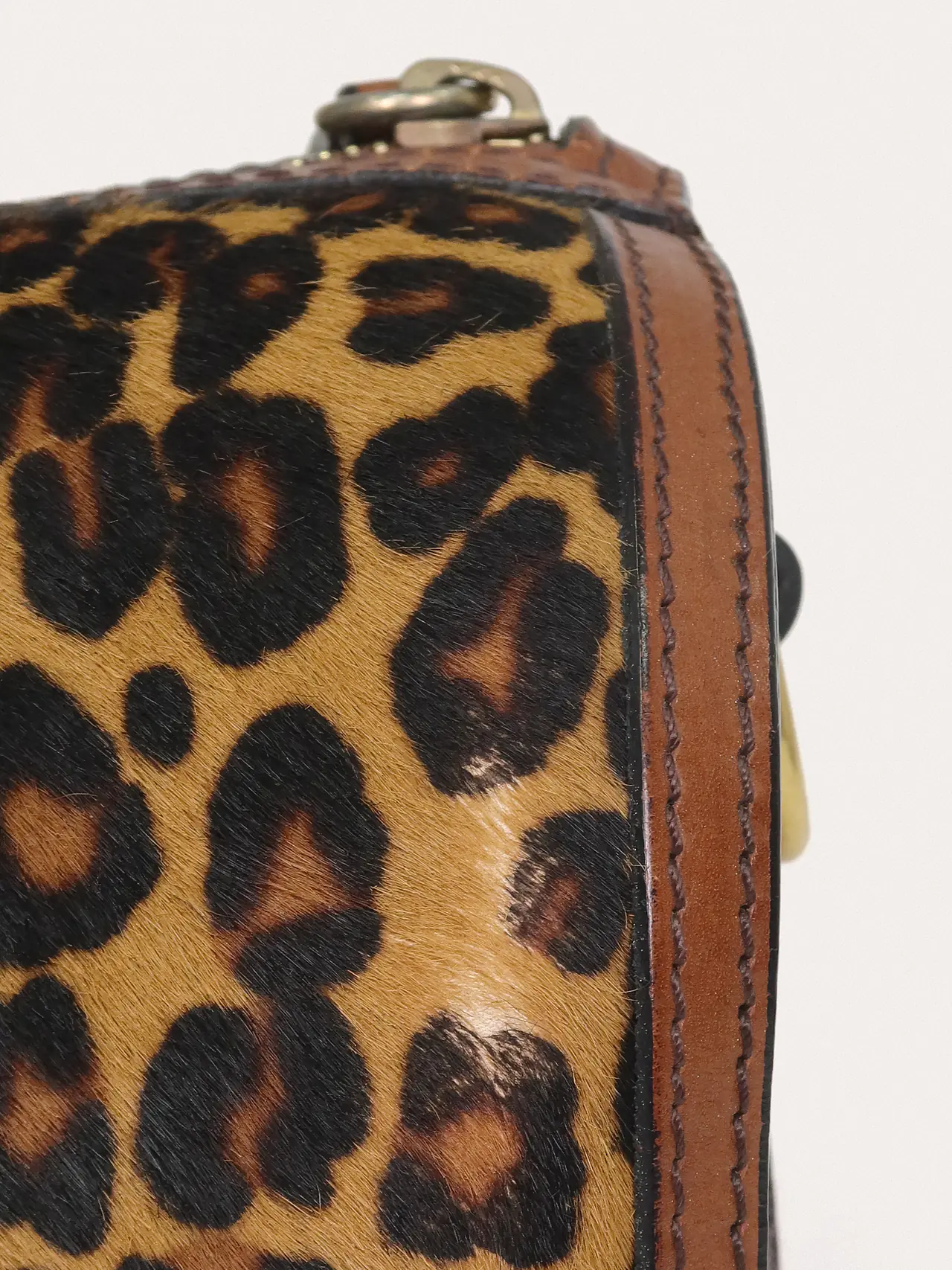 Alchester Leopard - Master