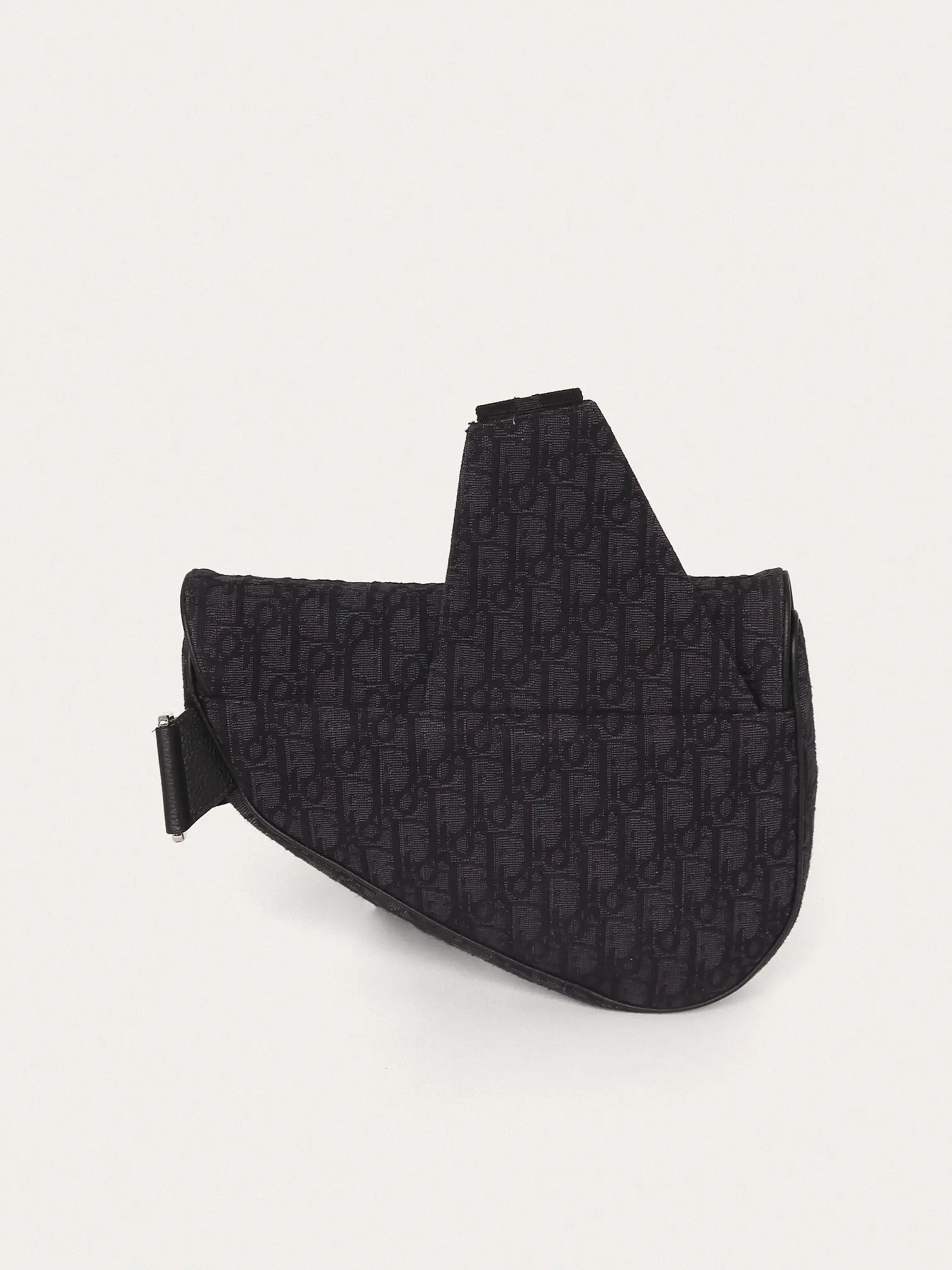 Christian Dior Saddle - Master
