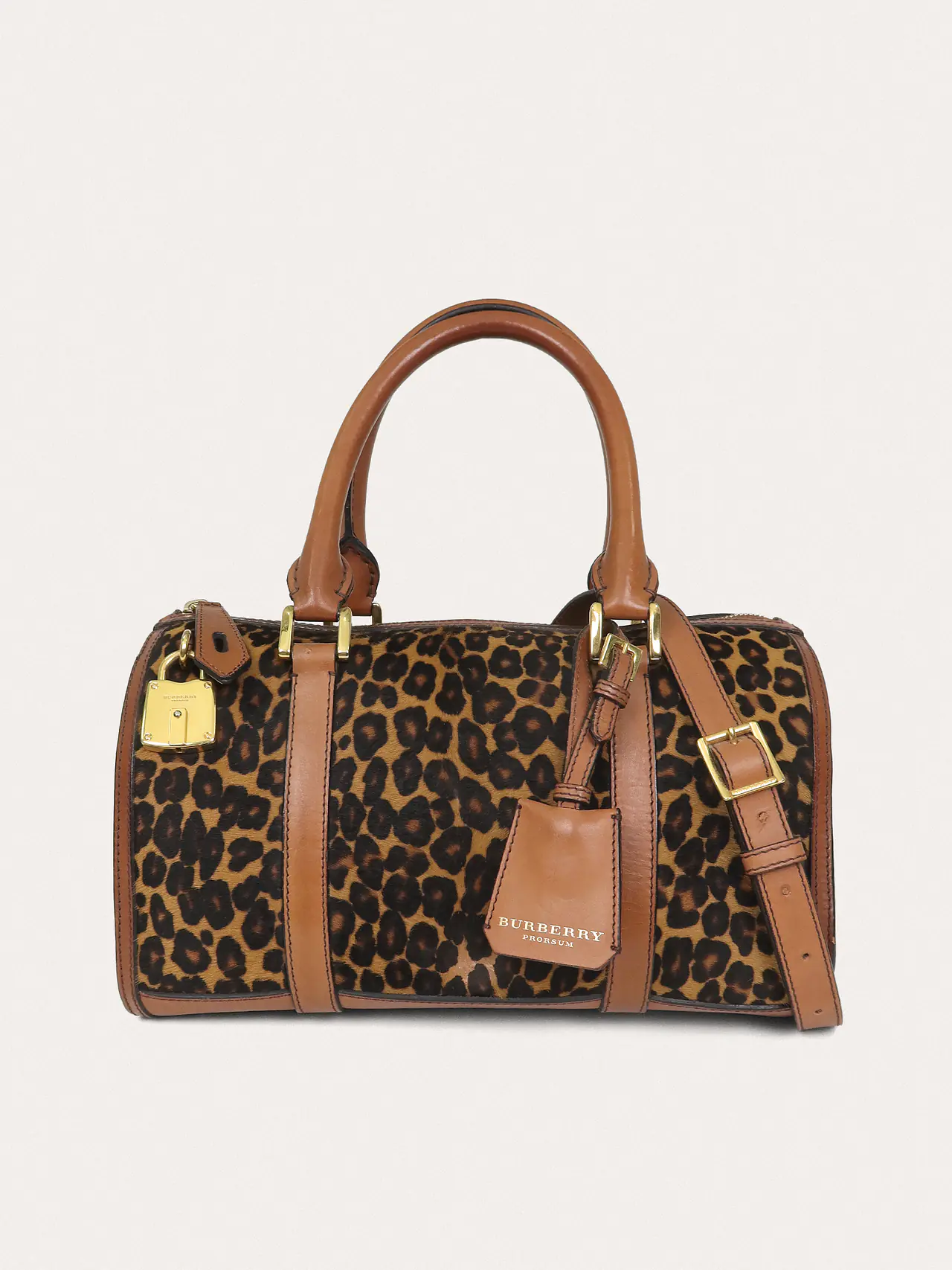 Alchester Leopard - Master