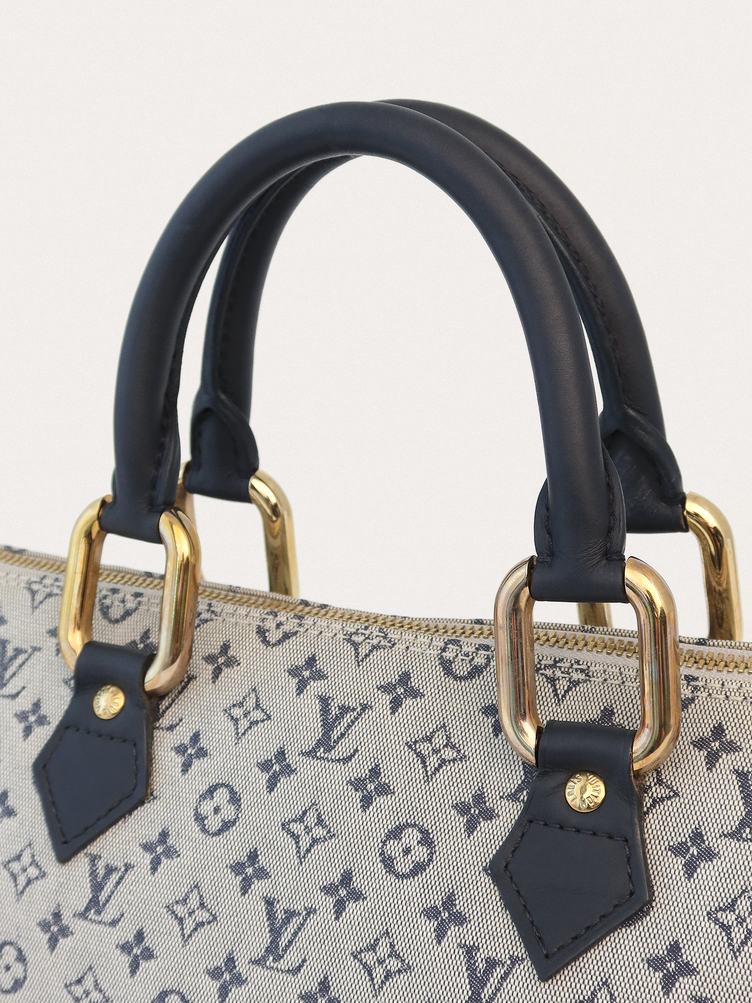 Louis Vuitton Lin Alma Long - Master