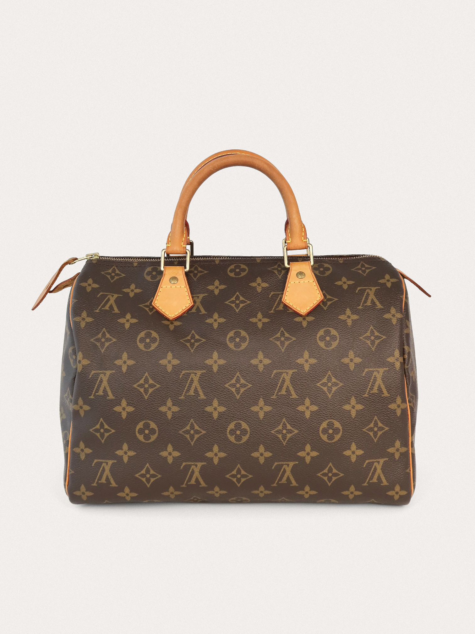 Louis Vuitton Speedy 30 - Master