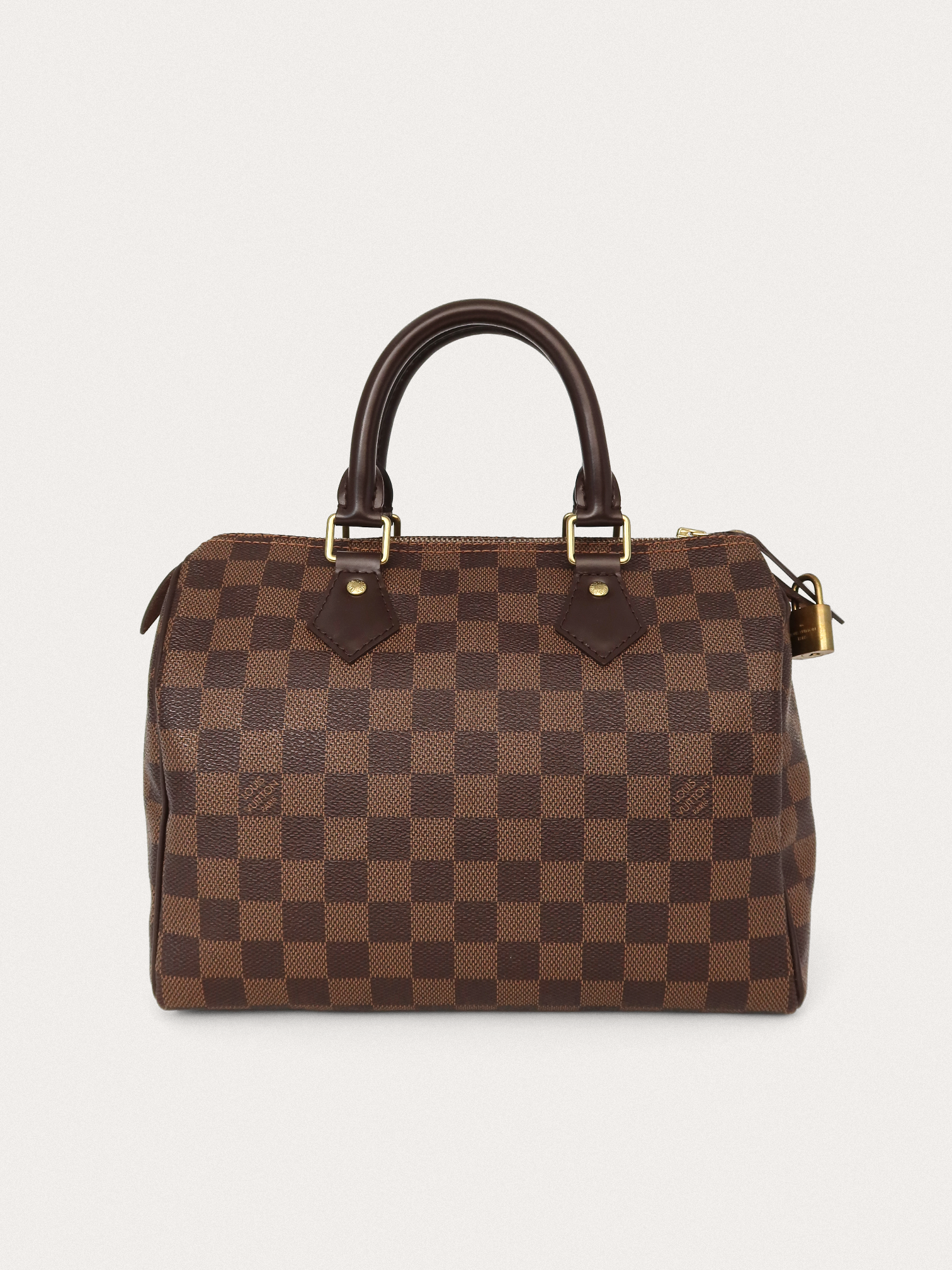 Louis Vuitton Speedy 25 - Master