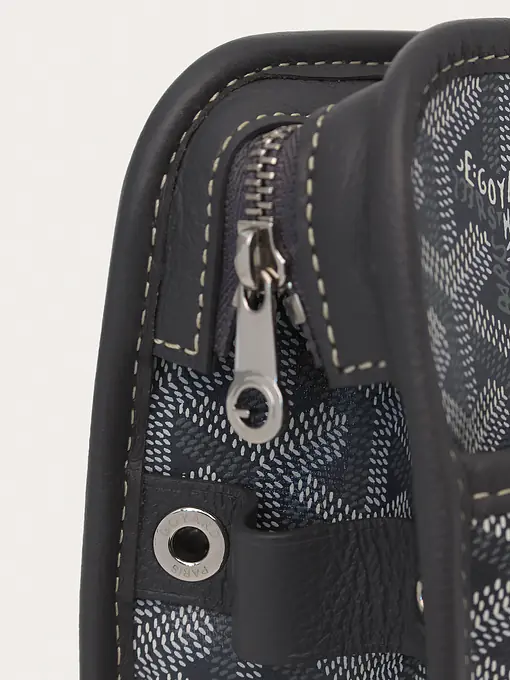 Goyard Jouvence MM - Master