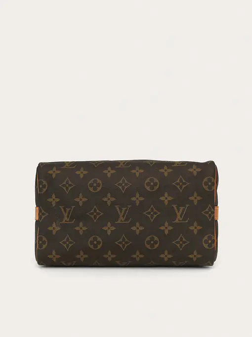 Louis Vuitton Speedy 25 - Master