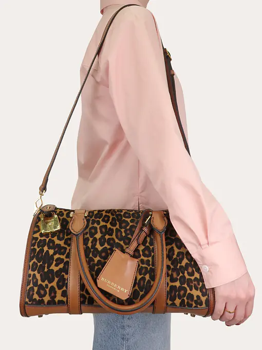 Alchester Leopard - Master