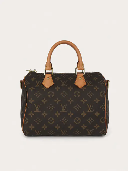 Louis Vuitton Speedy 25 - Master