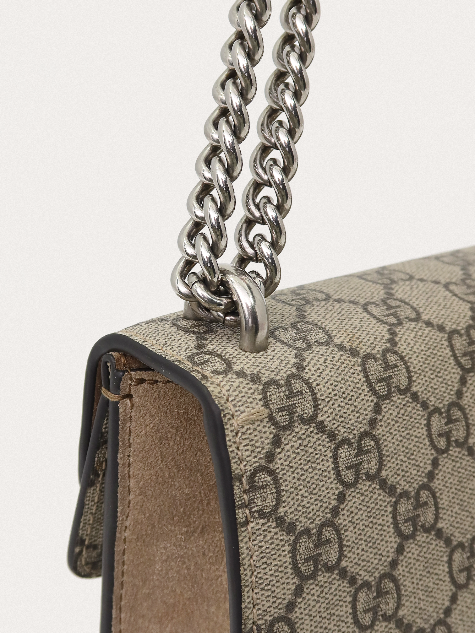Gucci Dionysus mini - Master